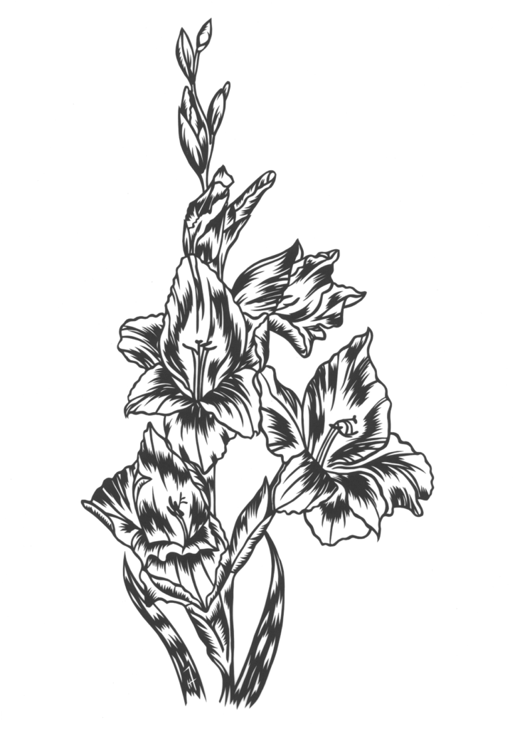 Gladiole Papierschnitt